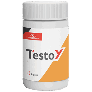 Testoy
